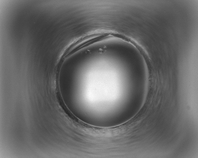 X0000067370015200604031045