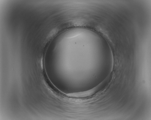 X0000067370019200604031045