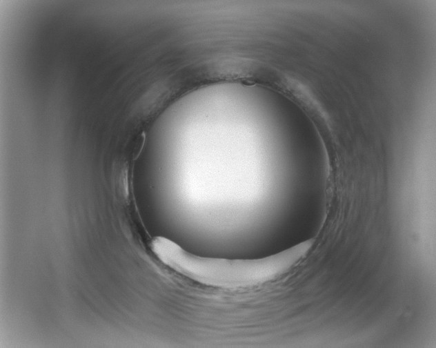X0000067370021200604031045