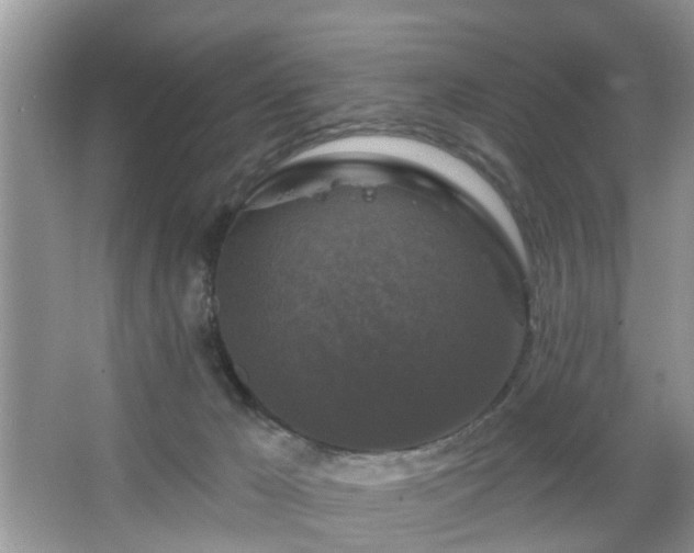 X0000067370029200604031045
