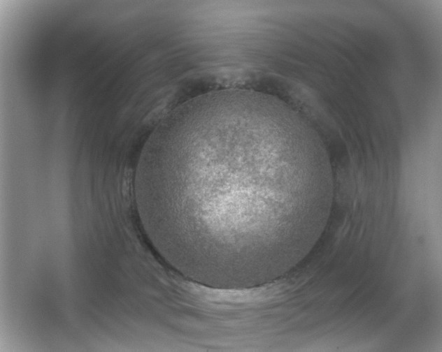 X0000067370034200604031045