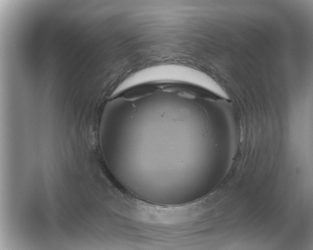 X0000067370039200604031045