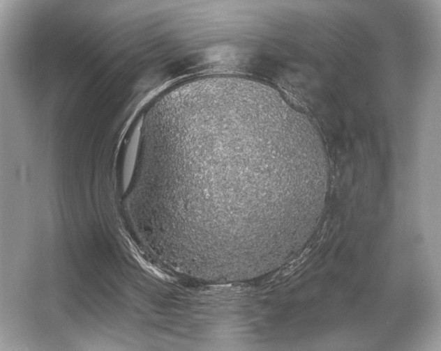 X0000067370050200604031044