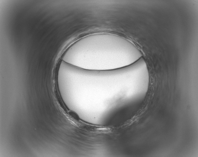 X0000067370053200604031044