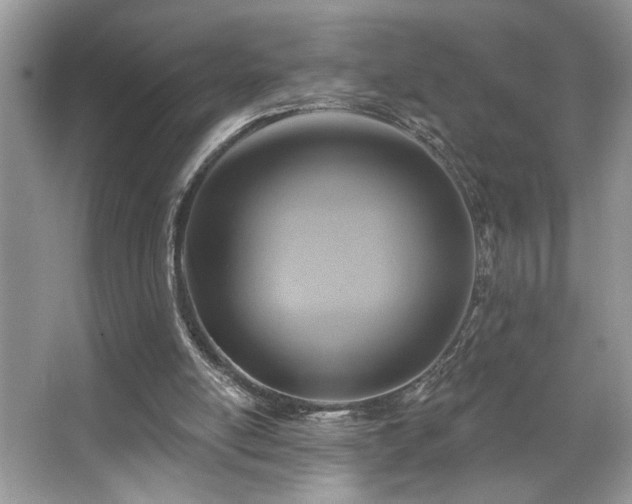 X0000067370054200604031044