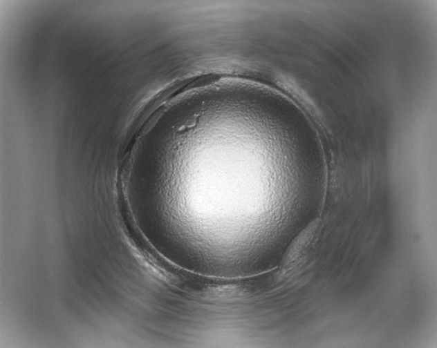 X0000067370058200604031044