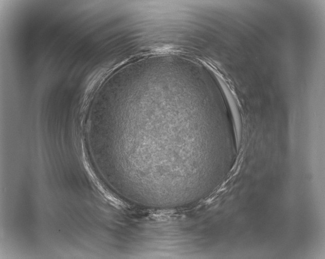 X0000067370097200604031044