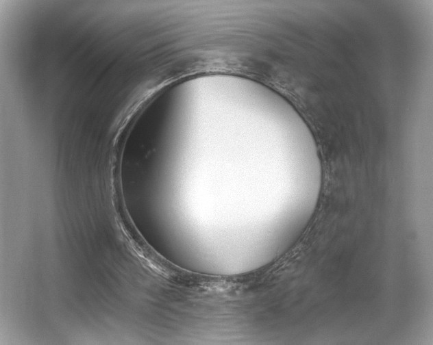 X0000067370098200604031044