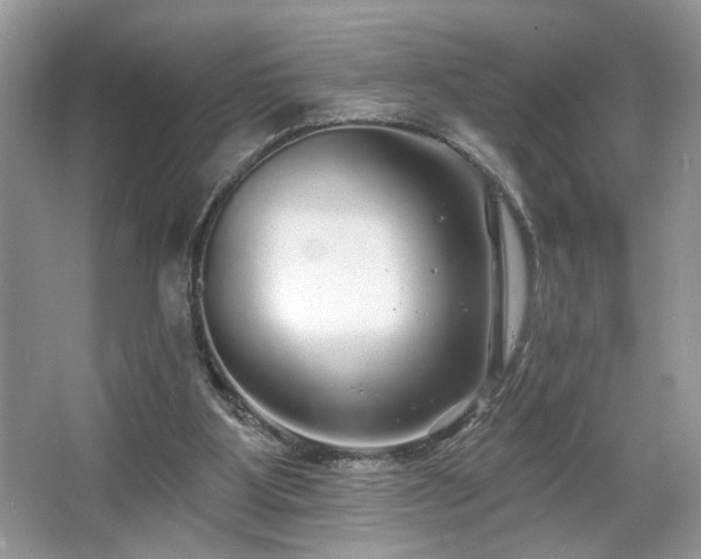 X0000067370107200604031044