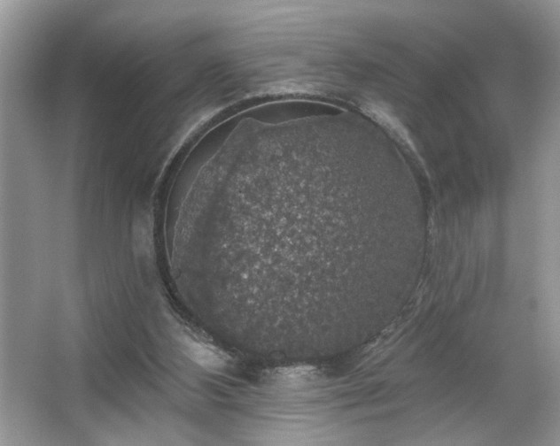 X0000067370108200604031044
