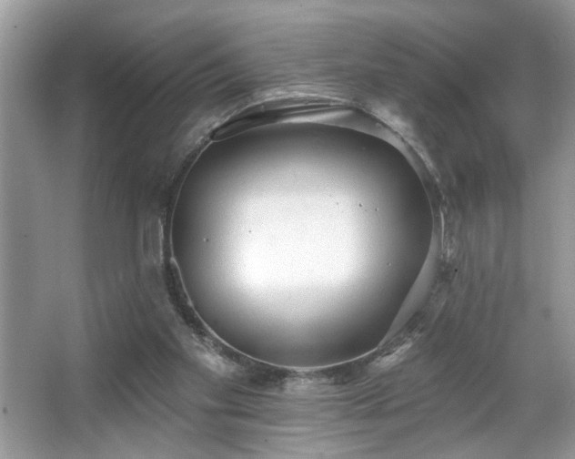 X0000067370109200604031044