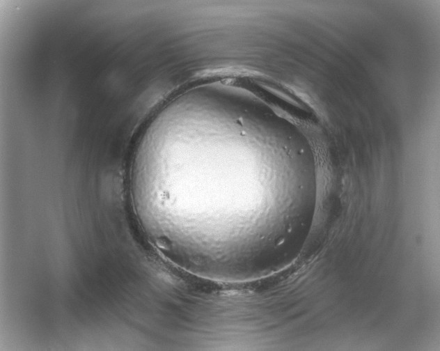 X0000067370111200604031044