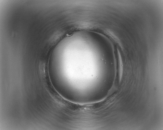 X0000067370115200604031043