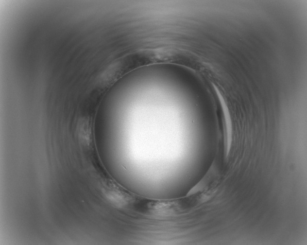 X0000067370129200604031043