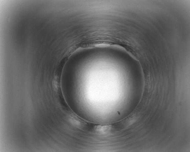 X0000067370135200604031043