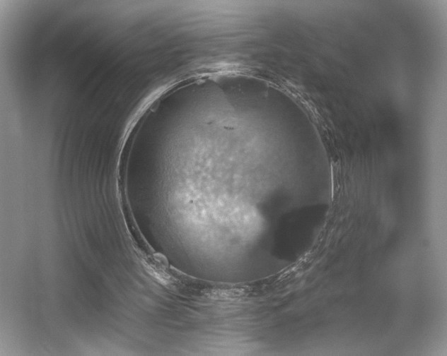 X0000067370147200604031042