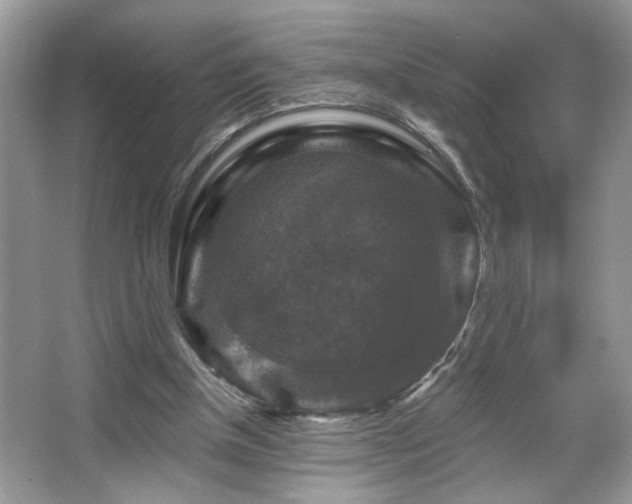 X0000067370154200604031042