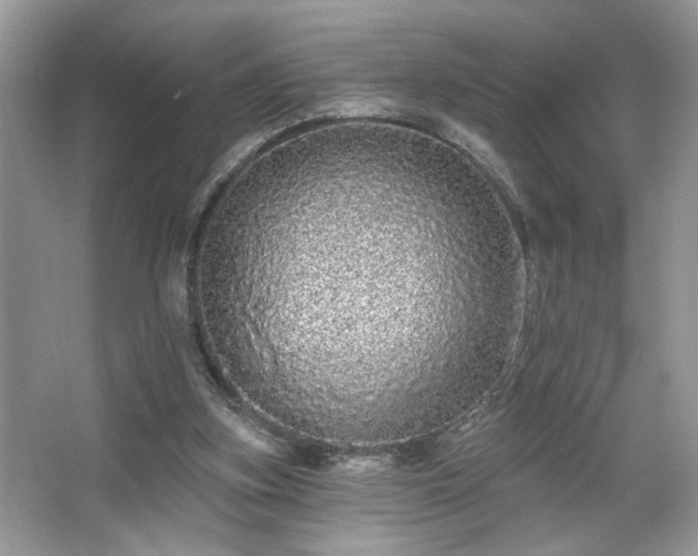X0000067370155200604031042