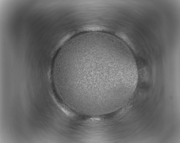 X0000067370159200604031042