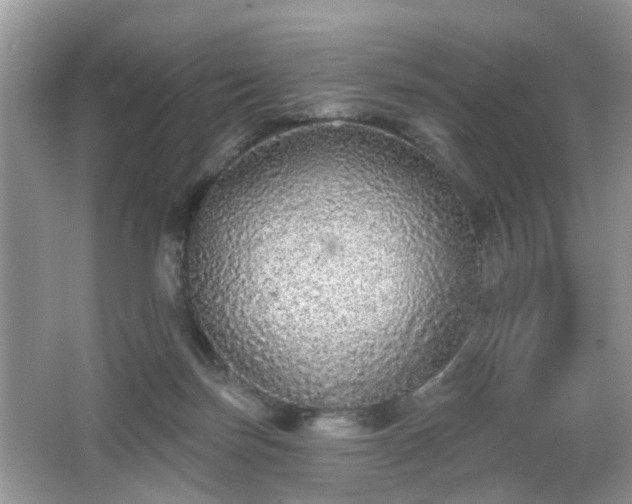 X0000067370171200604031043