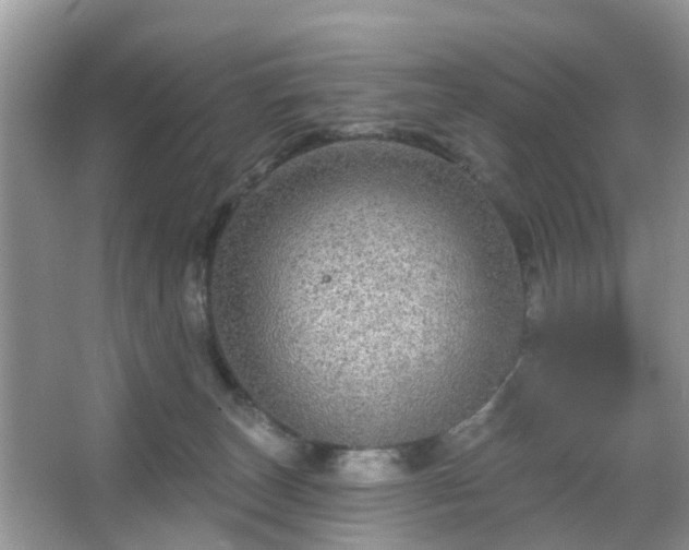 X0000067370179200604031043