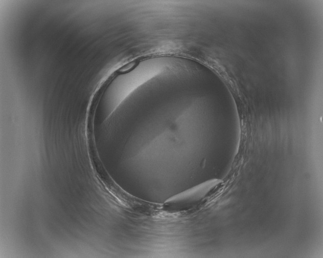 X0000067370196200604031042
