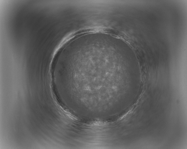 X0000067370198200604031042