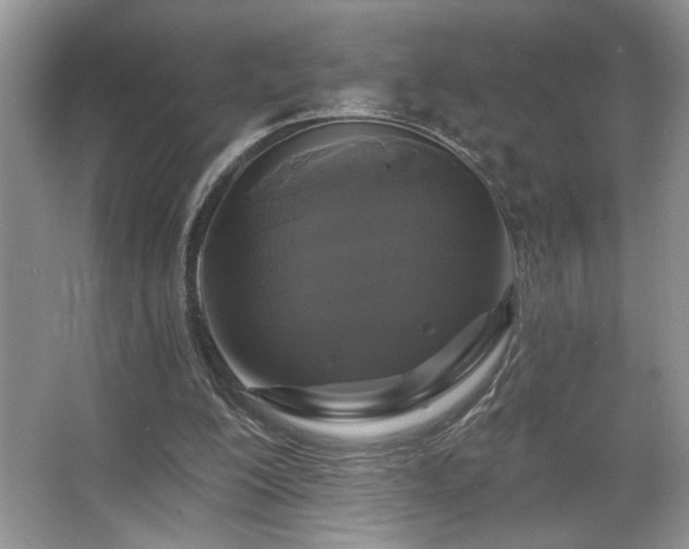 X0000067370200200604031042