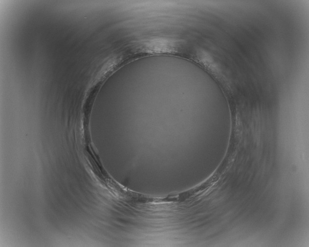 X0000067370202200604031042