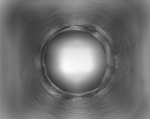 X0000067370203200604031042