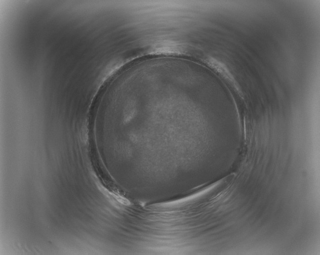 X0000067370204200604031042
