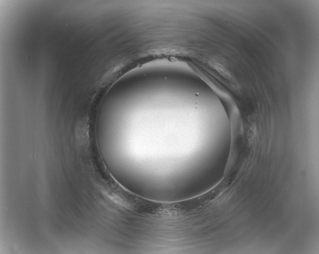 X0000067370207200604031042