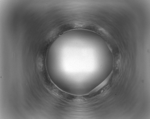 X0000067370215200604031042