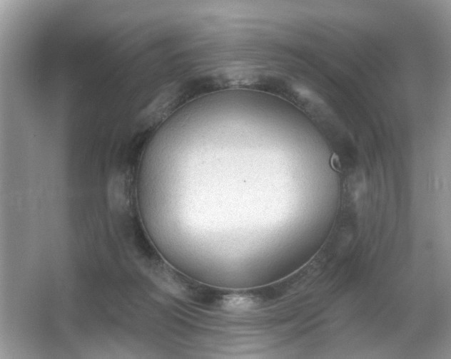 X0000067370218200604031042
