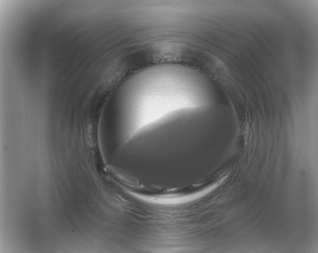 X0000067370224200604031042