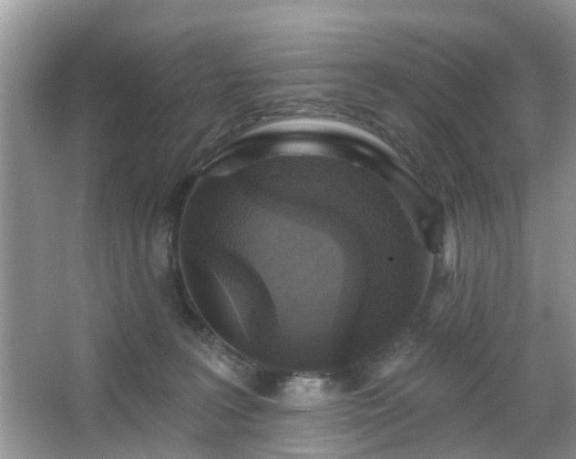 X0000067370227200604031042