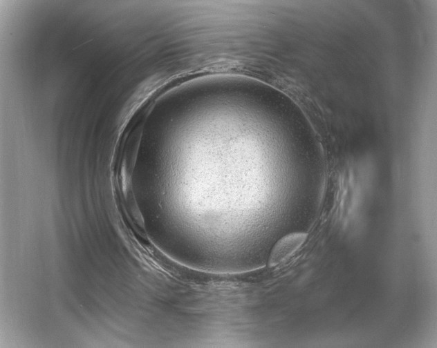 X0000067370242200604031041