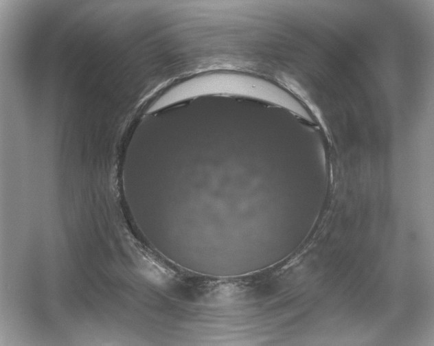 X0000067370249200604031041