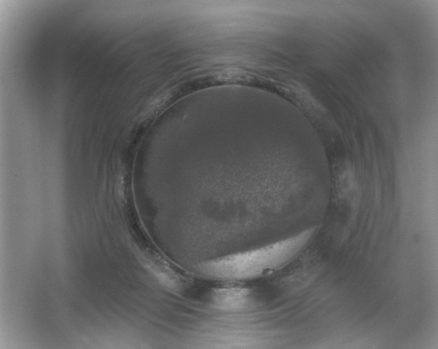 X0000067370266200604031041