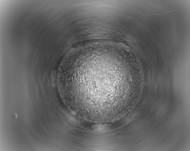 X0000067370273200604031041