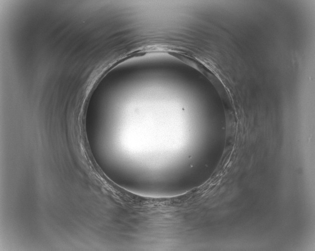 X0000067370289200604031041