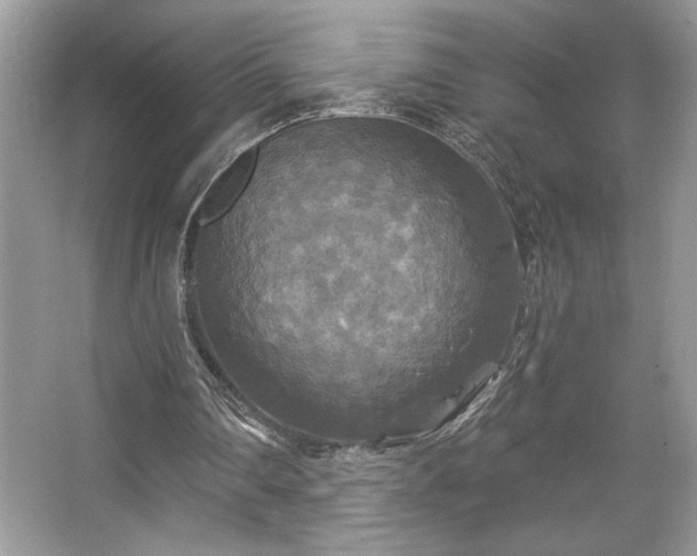 X0000067370290200604031041