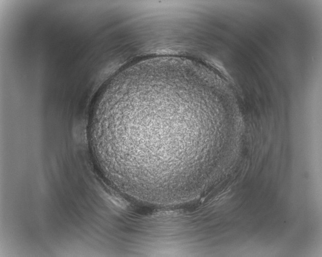 X0000067370299200604031040