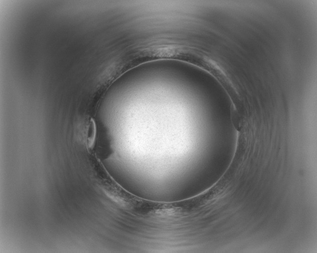 X0000067370307200604031040