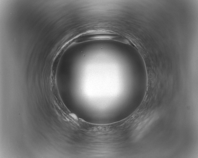 X0000067370338200604031039