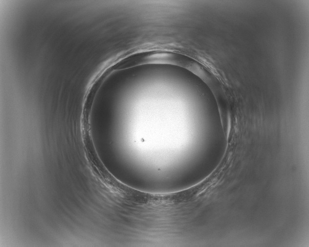 X0000067370340200604031039