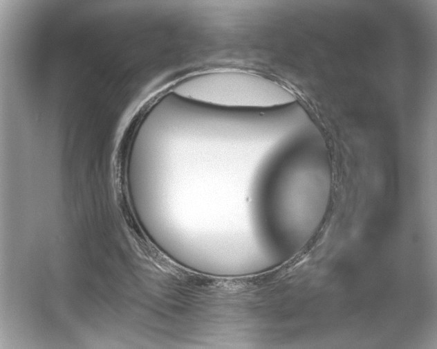 X0000067370343200604031039