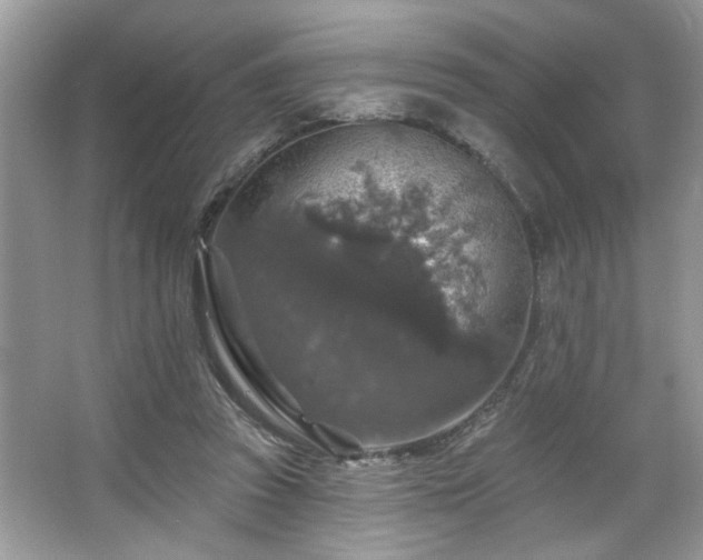 X0000067370353200604031039