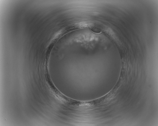 X0000067370357200604031039