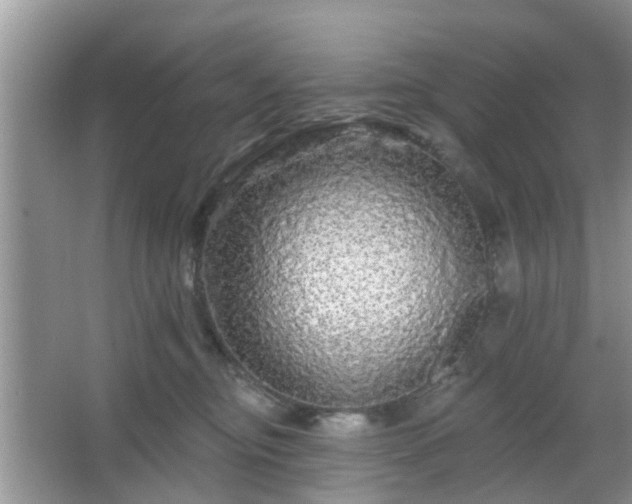 X0000067370374200604031040